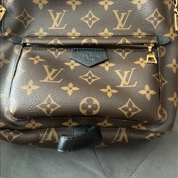Louis Vuitton PALM SPRING Monogram PM size main image 8